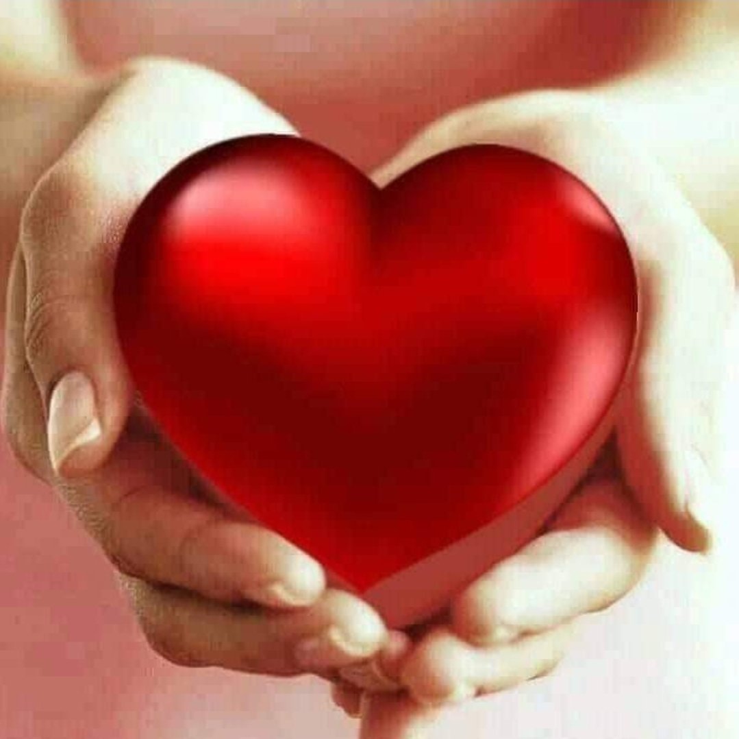 Zdjęcie główne wgrane przez użytkownika