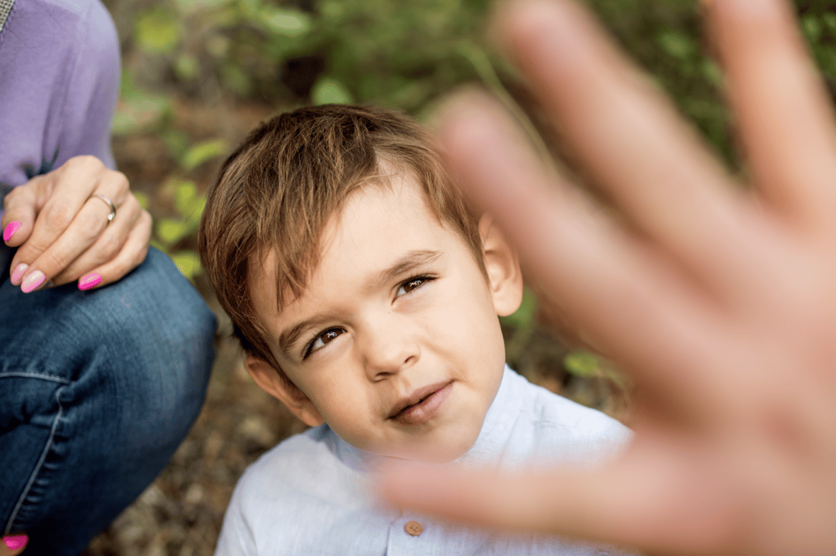 Zdjęcie główne wgrane przez użytkownika