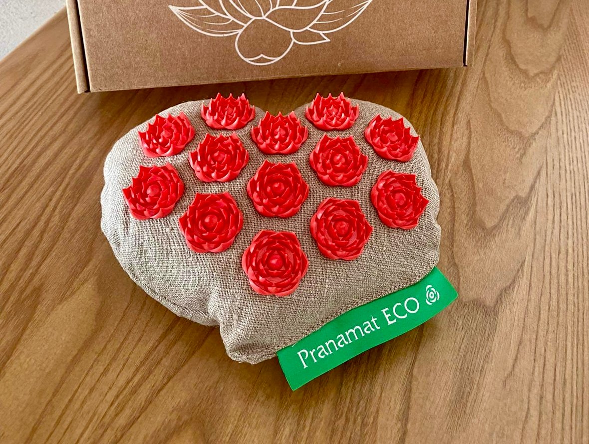 Main photo uploaded by the user