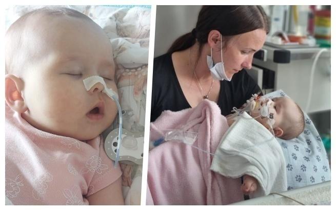 Main photo uploaded by the user