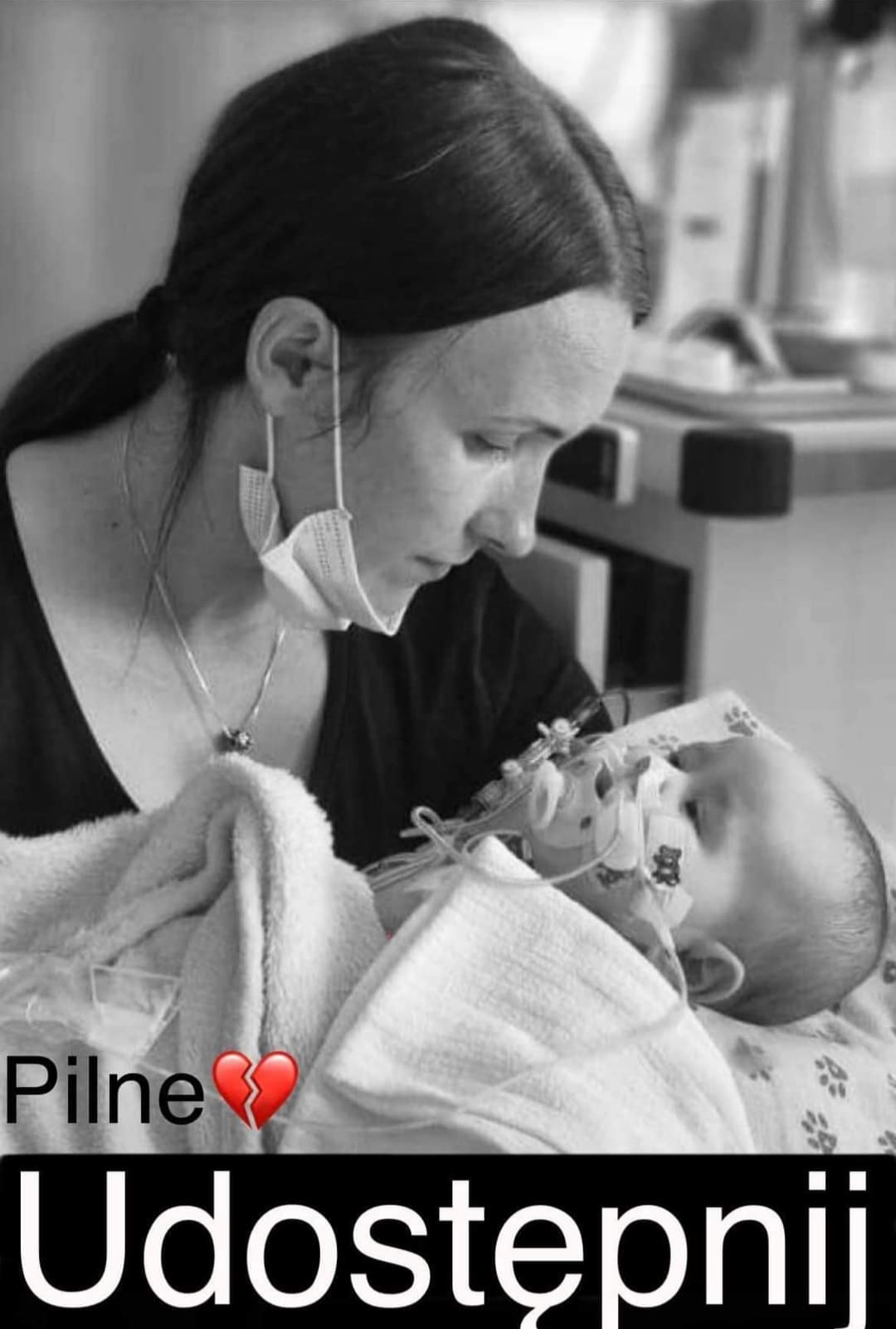 Zdjęcie główne wgrane przez użytkownika