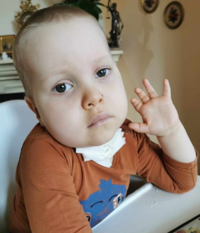 Zdjęcie główne wgrane przez użytkownika