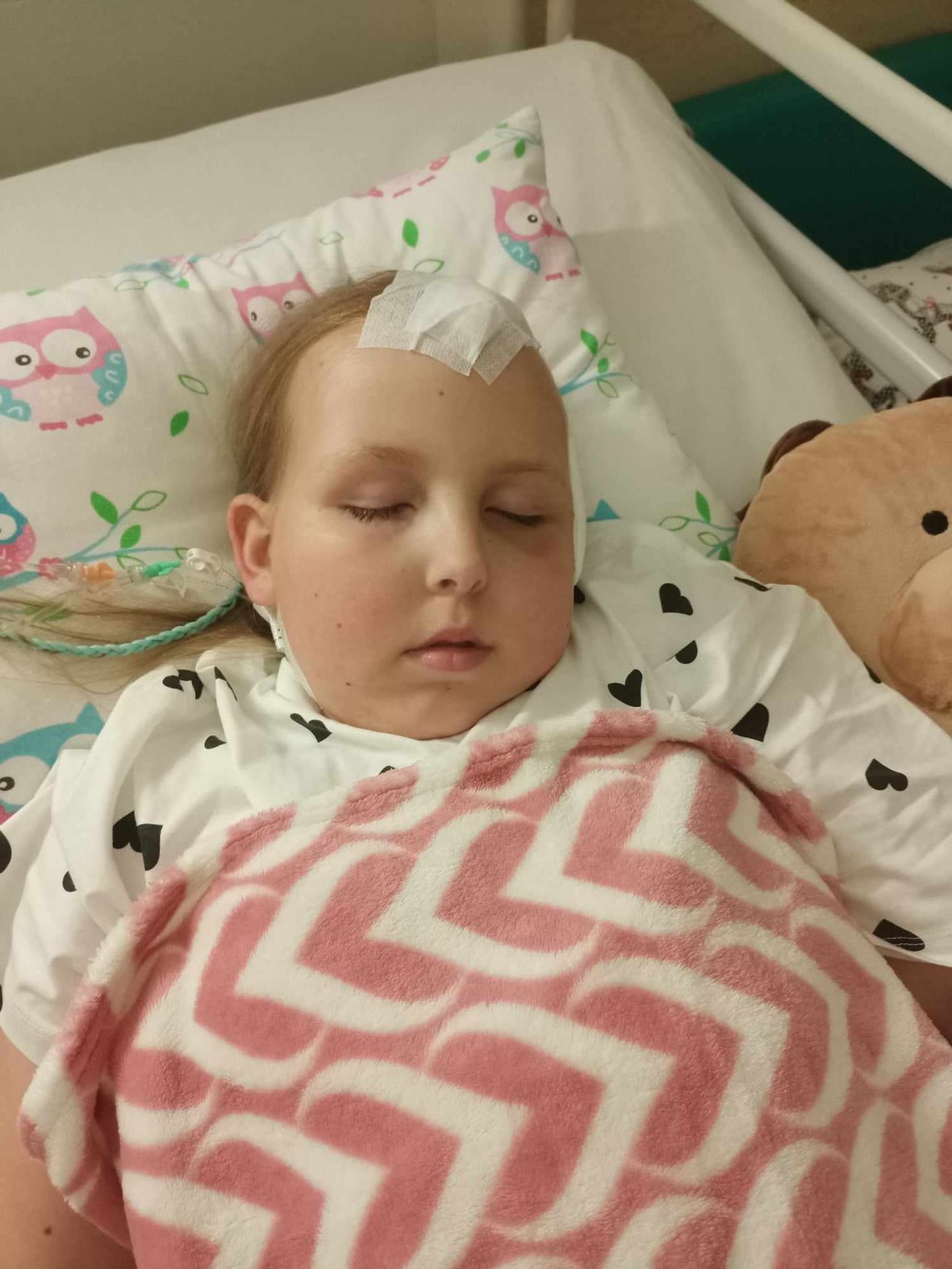 Zdjęcie główne wgrane przez użytkownika