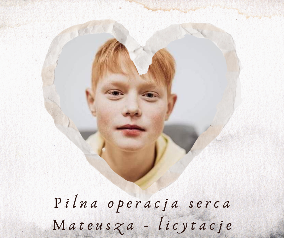 Main photo uploaded by the user