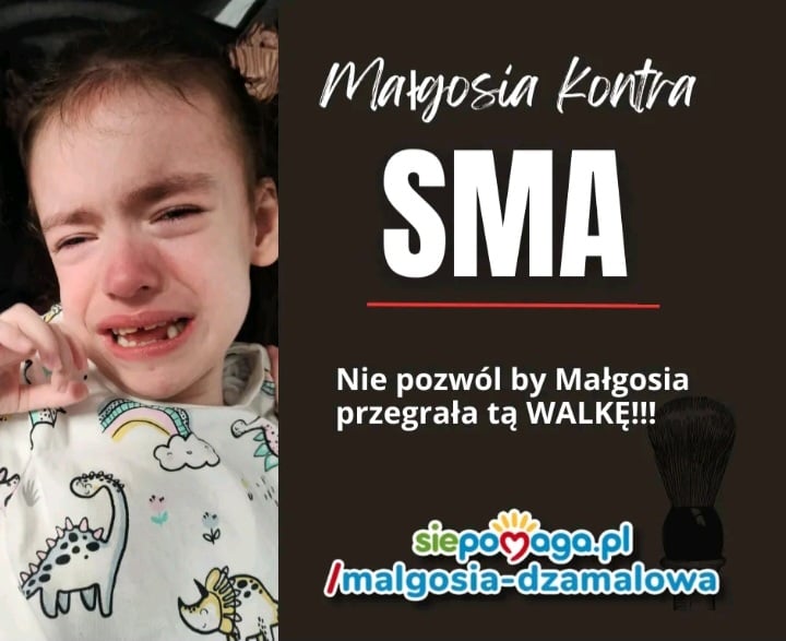 Zdjęcie główne wgrane przez użytkownika