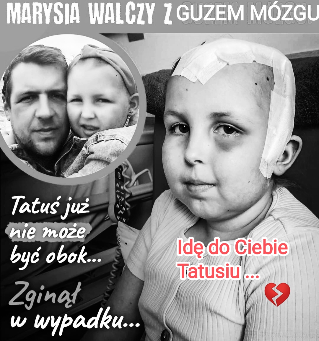 Zdjęcie główne wgrane przez użytkownika