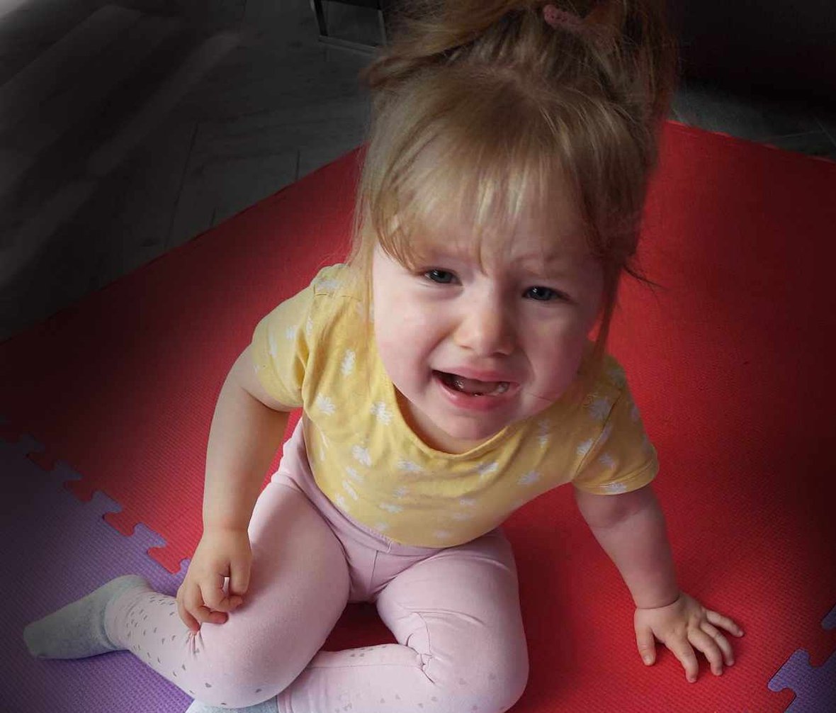 Zdjęcie główne wgrane przez użytkownika