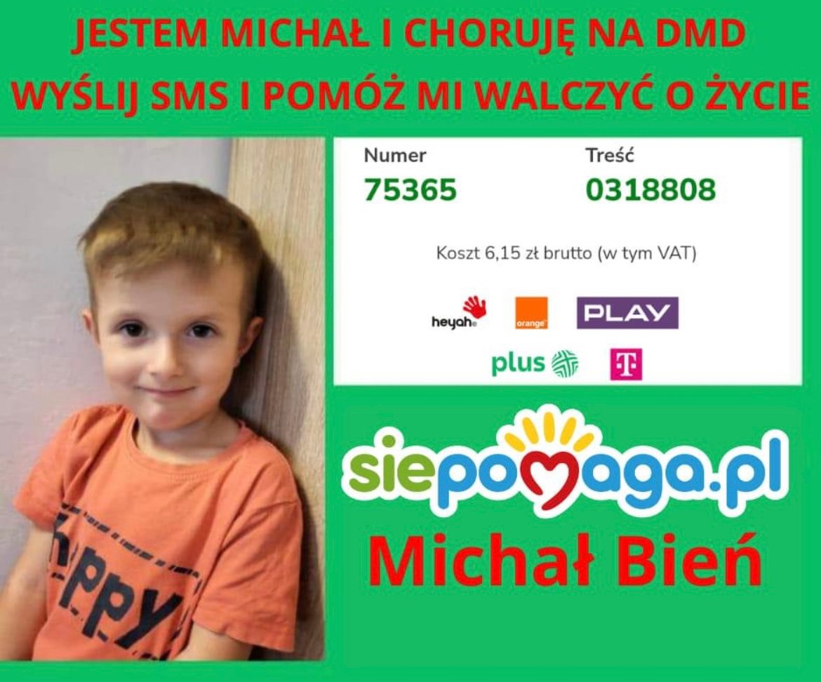 Zdjęcie główne wgrane przez użytkownika