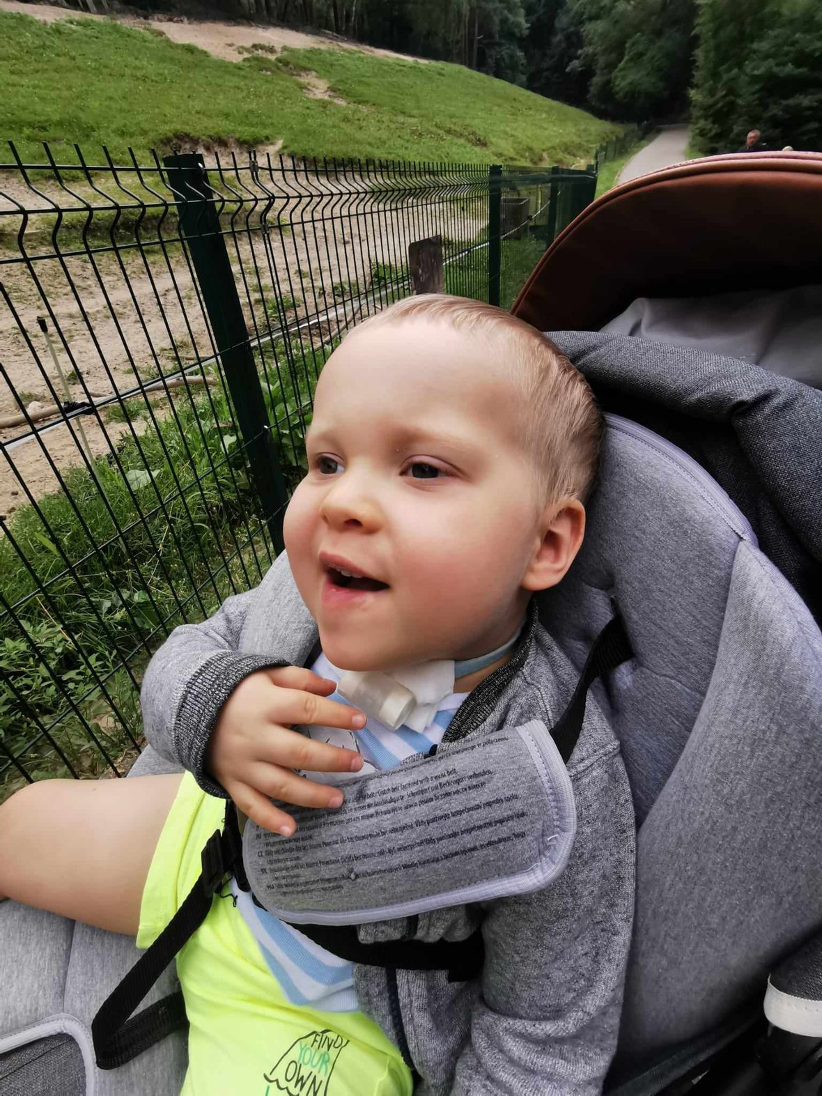 Zdjęcie główne wgrane przez użytkownika