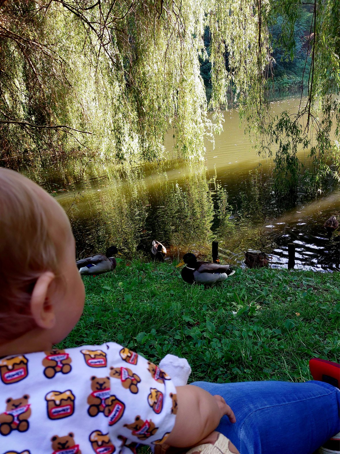 Zdjęcie główne wgrane przez użytkownika