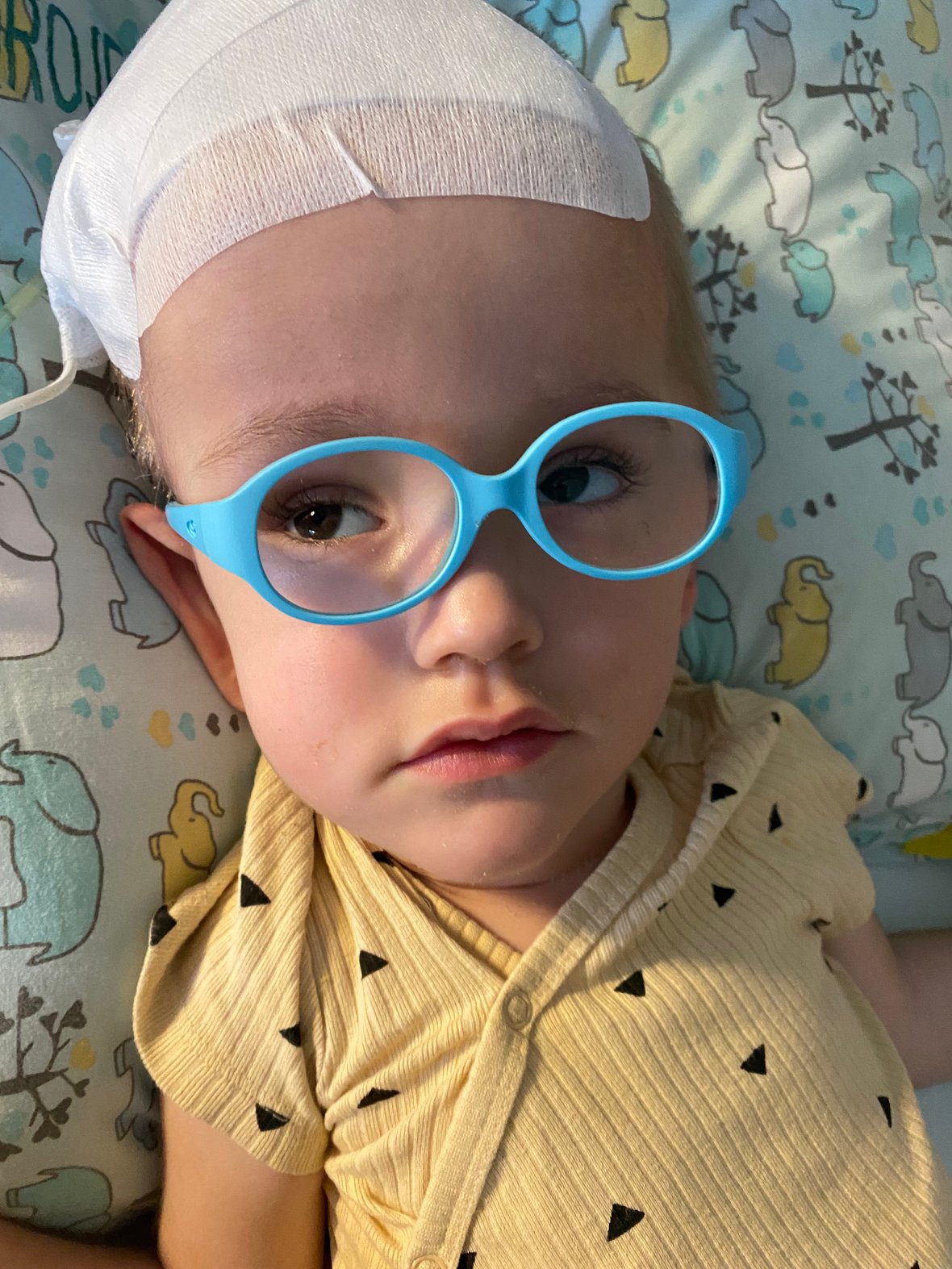 Zdjęcie główne wgrane przez użytkownika