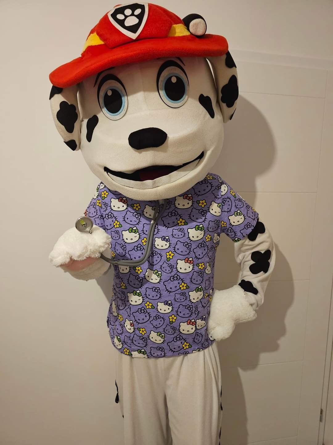 Zdjęcie główne wgrane przez użytkownika