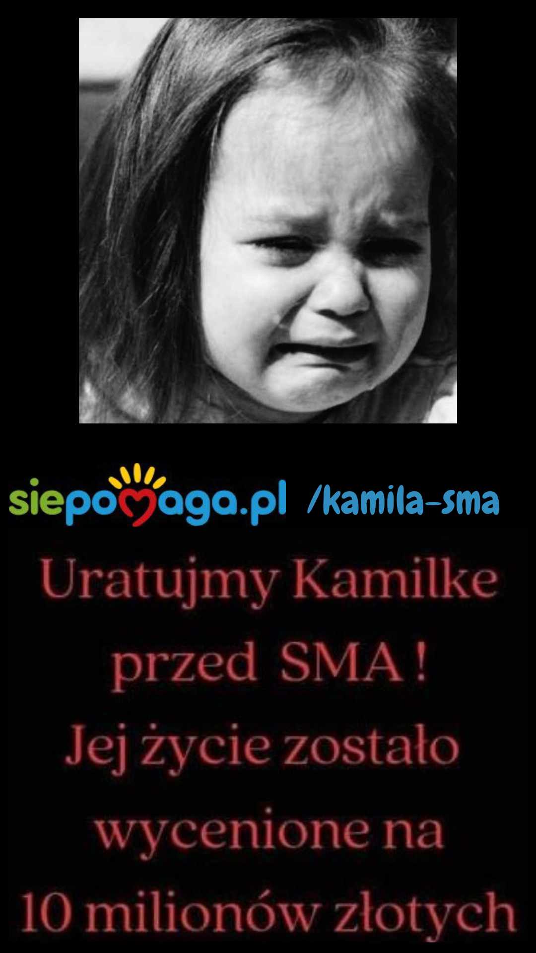 Main photo uploaded by the user