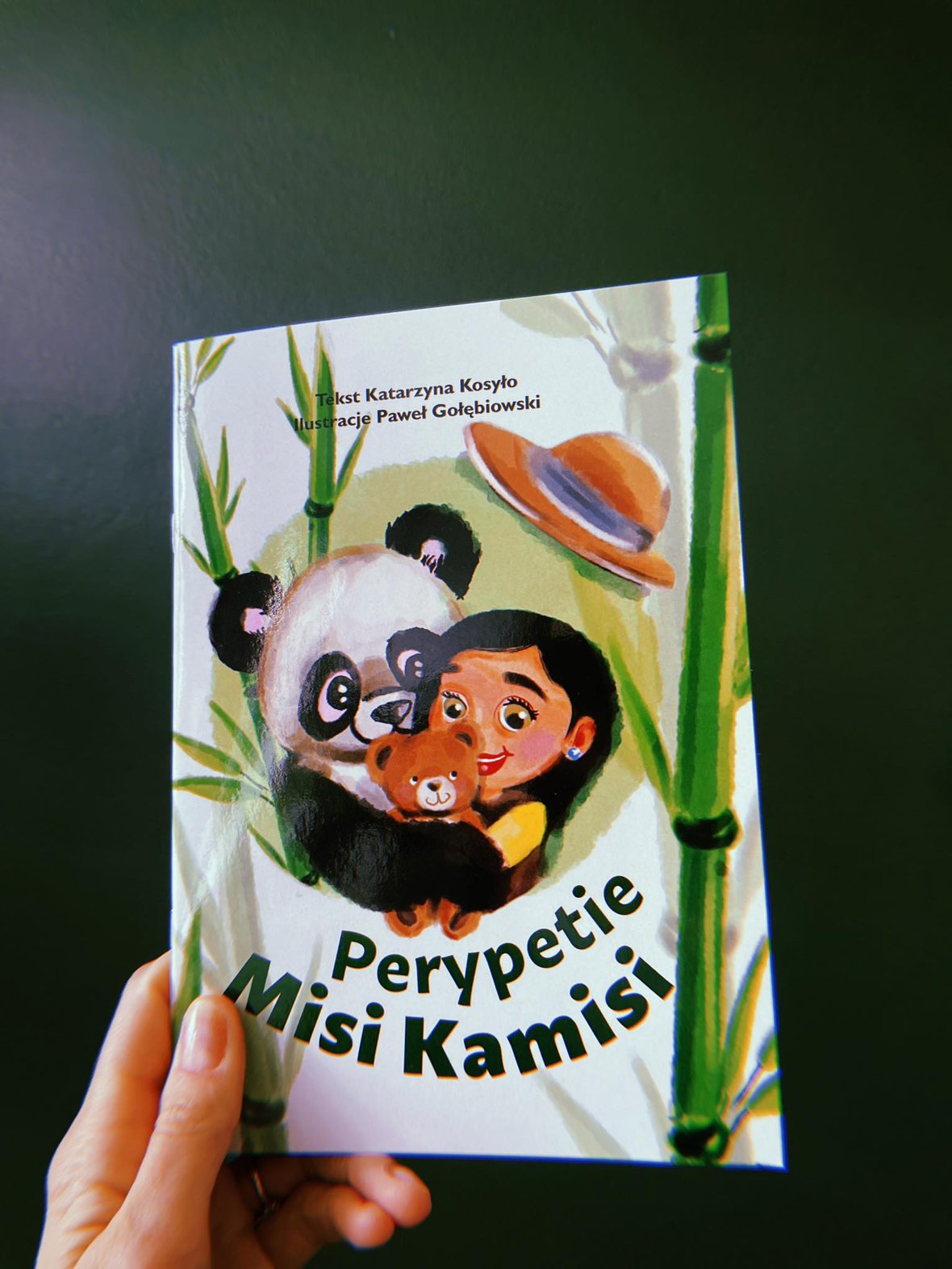 Main photo uploaded by the user