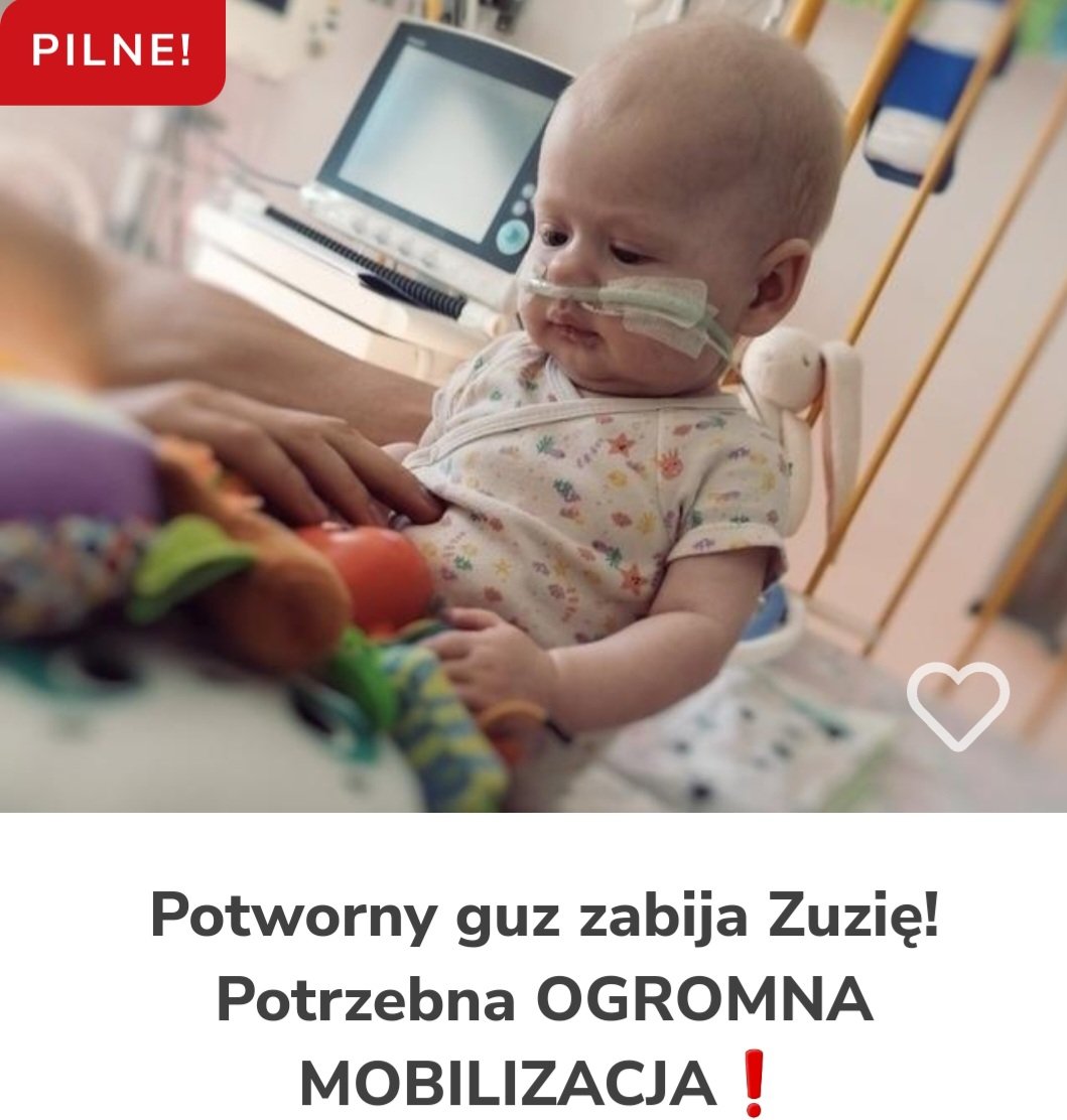 Zdjęcie główne wgrane przez użytkownika