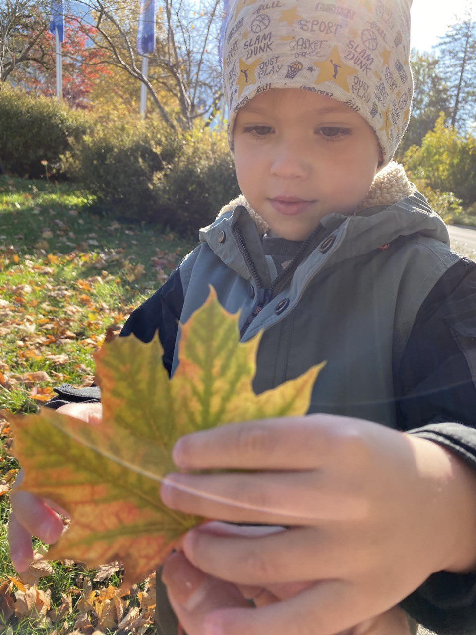 Zdjęcie główne wgrane przez użytkownika