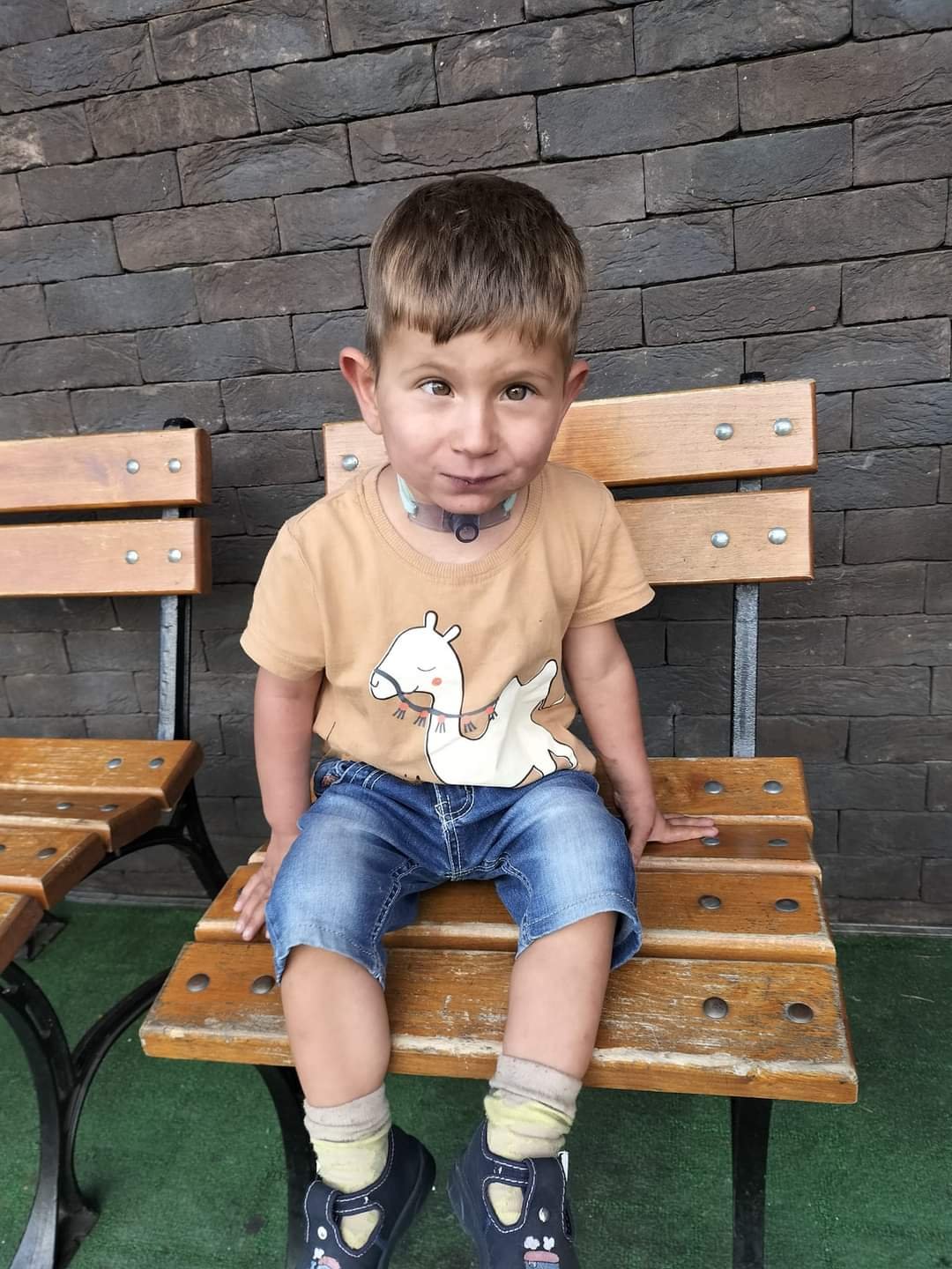 Zdjęcie główne wgrane przez użytkownika