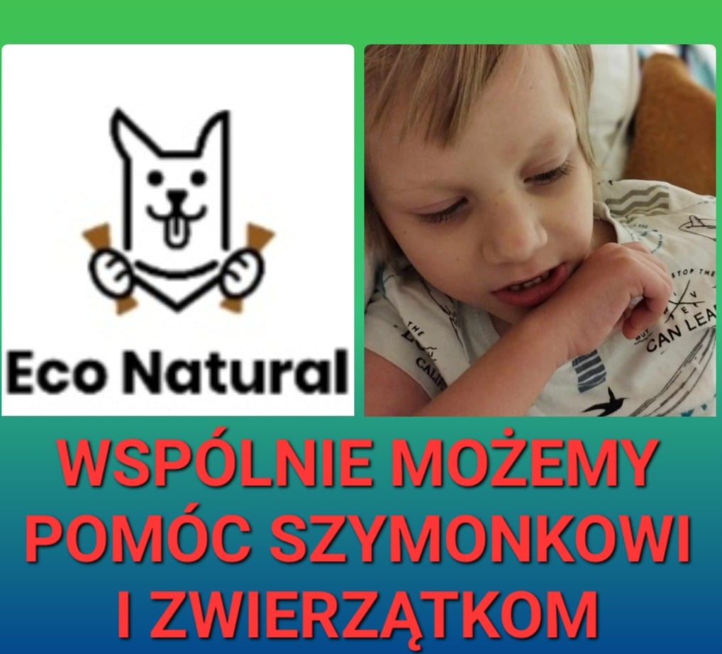 Zdjęcie główne wgrane przez użytkownika