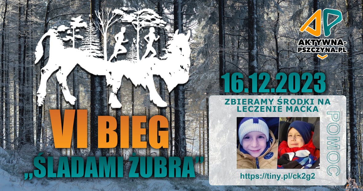 Zdjęcie główne wgrane przez użytkownika