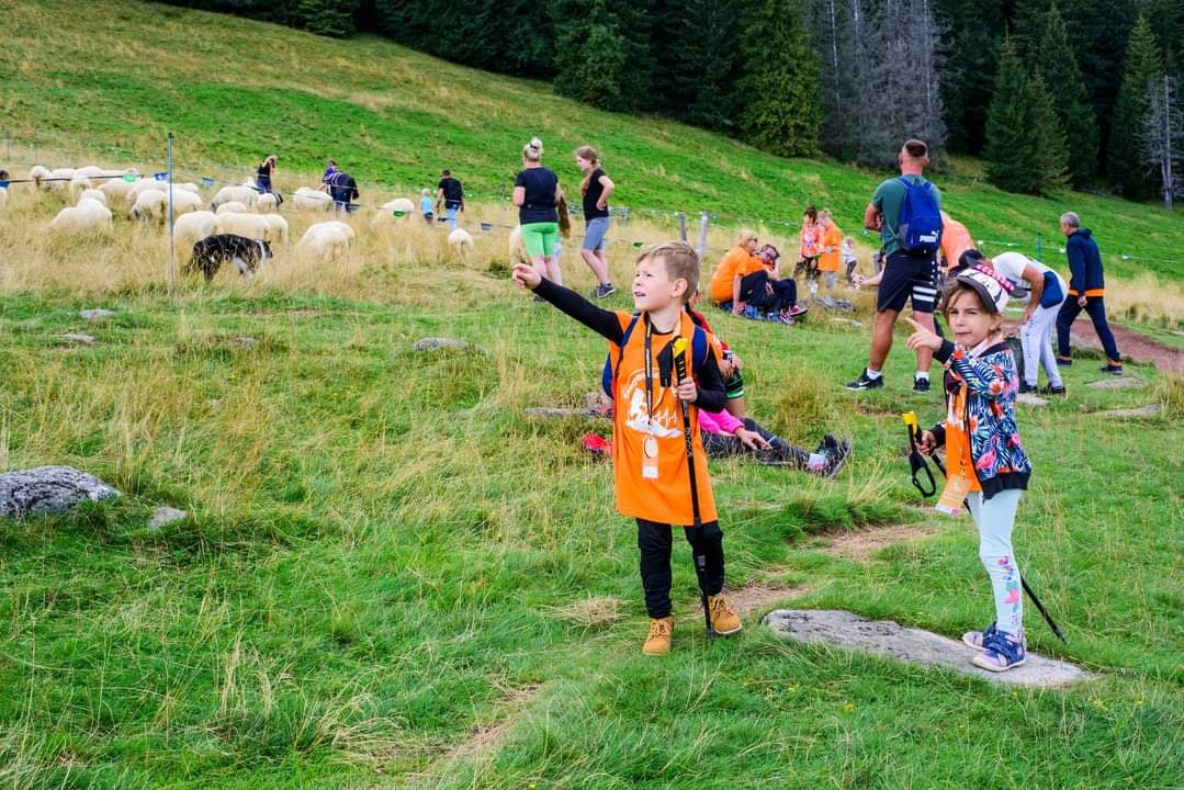 Zdjęcie główne wgrane przez użytkownika