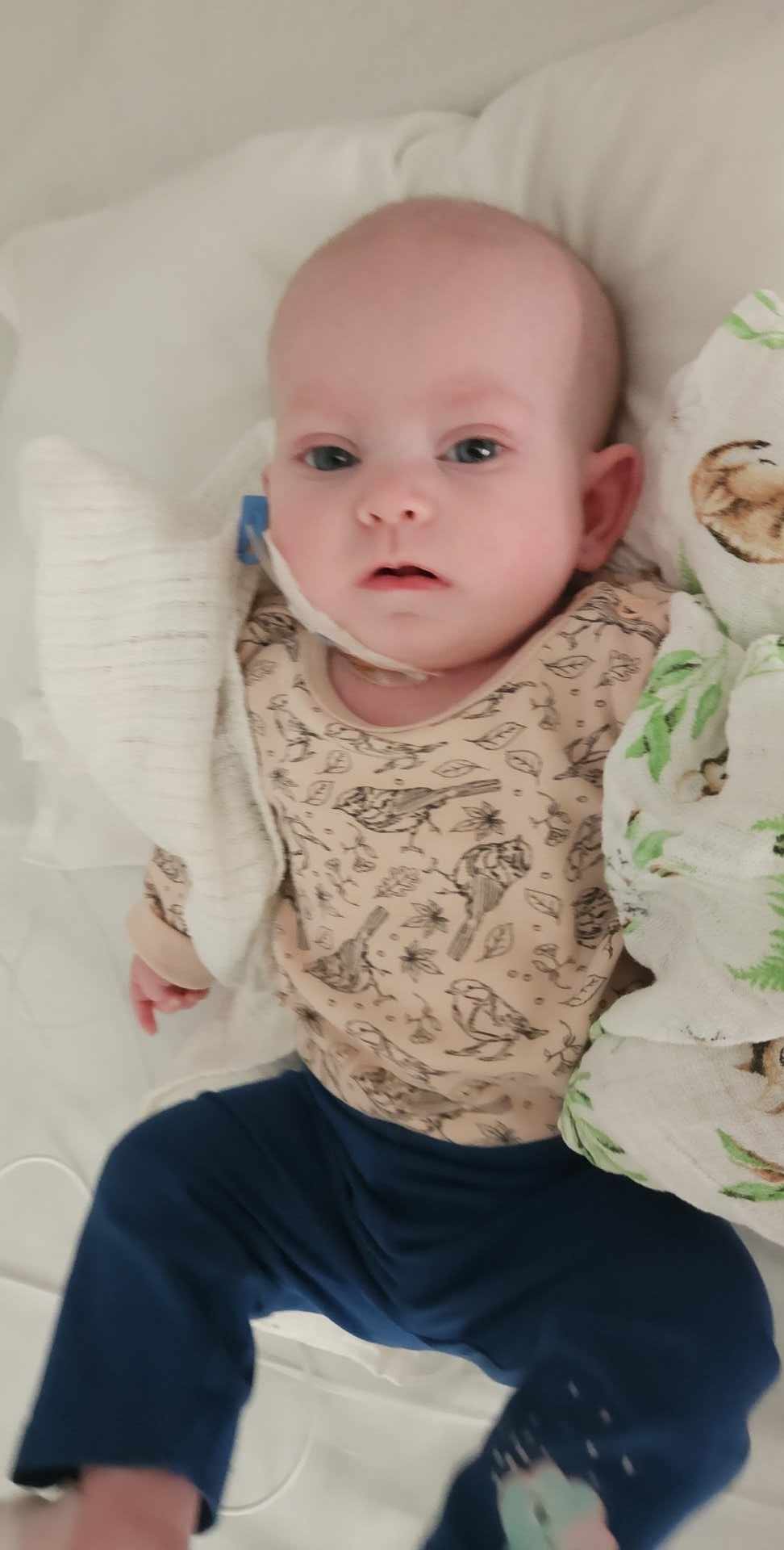 Main photo uploaded by the user