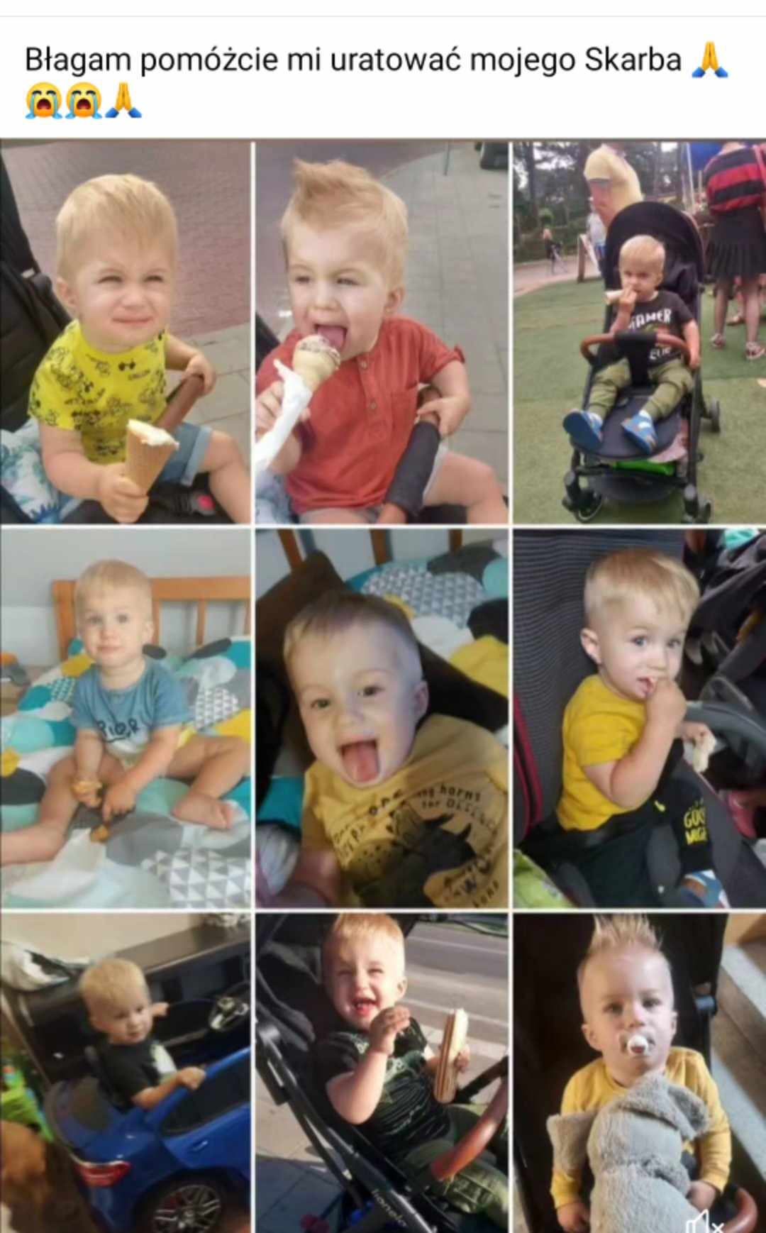 Zdjęcie główne wgrane przez użytkownika