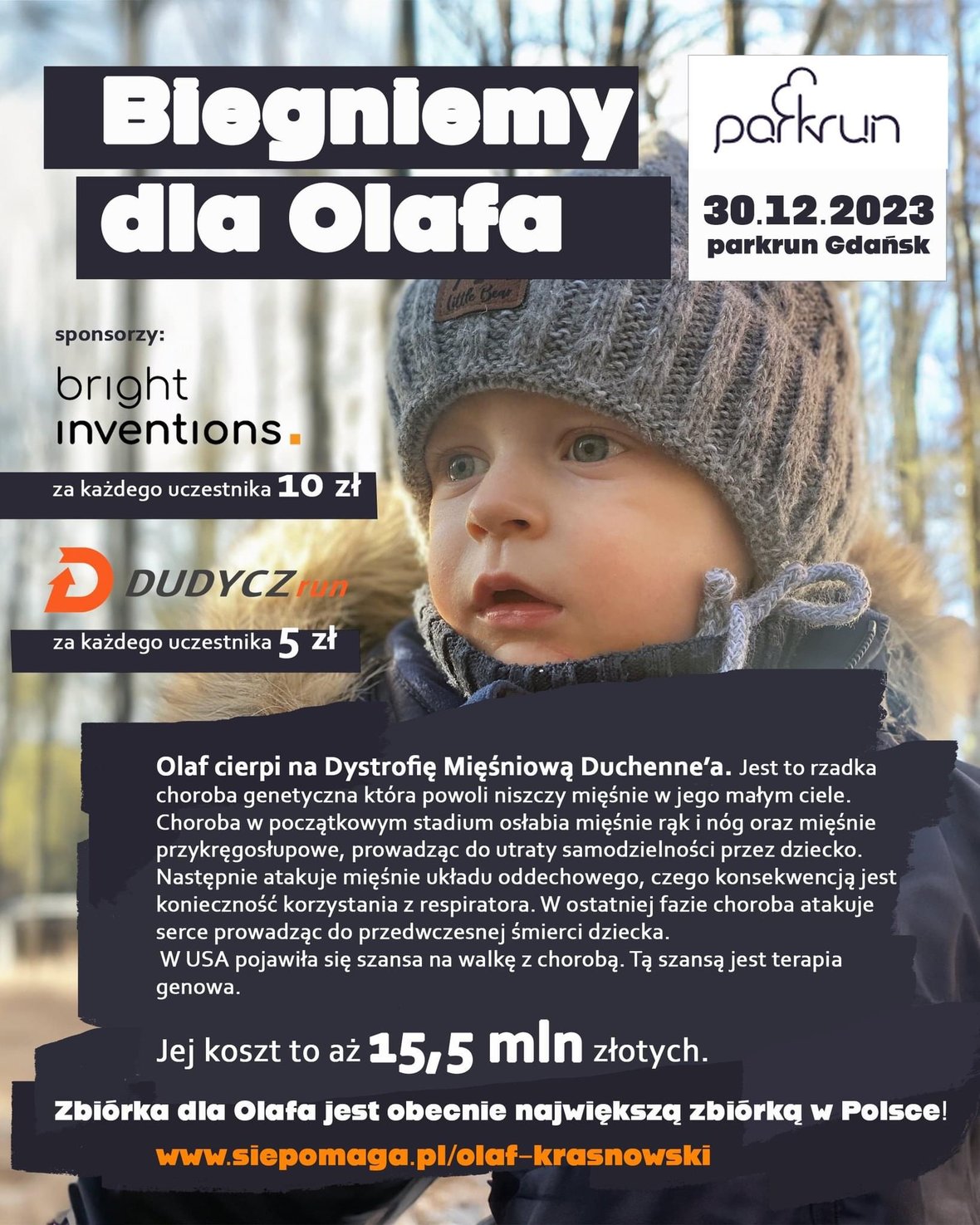 Zdjęcie główne wgrane przez użytkownika