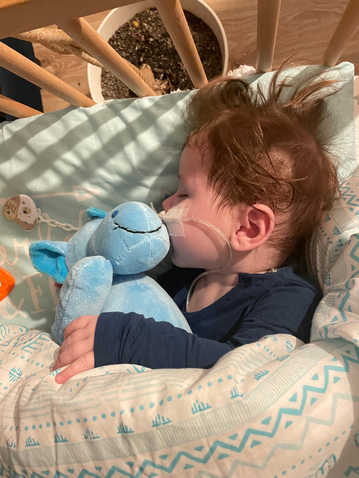 Main photo uploaded by the user