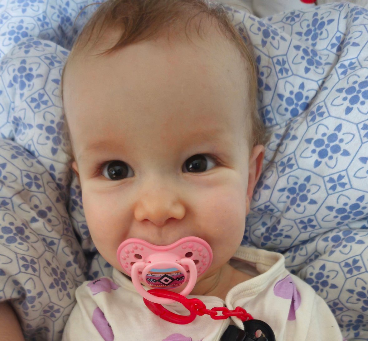 Zdjęcie główne wgrane przez użytkownika