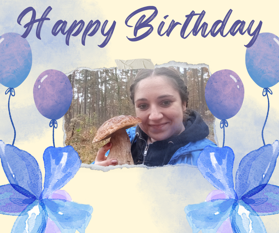 Zdjęcie główne wgrane przez użytkownika