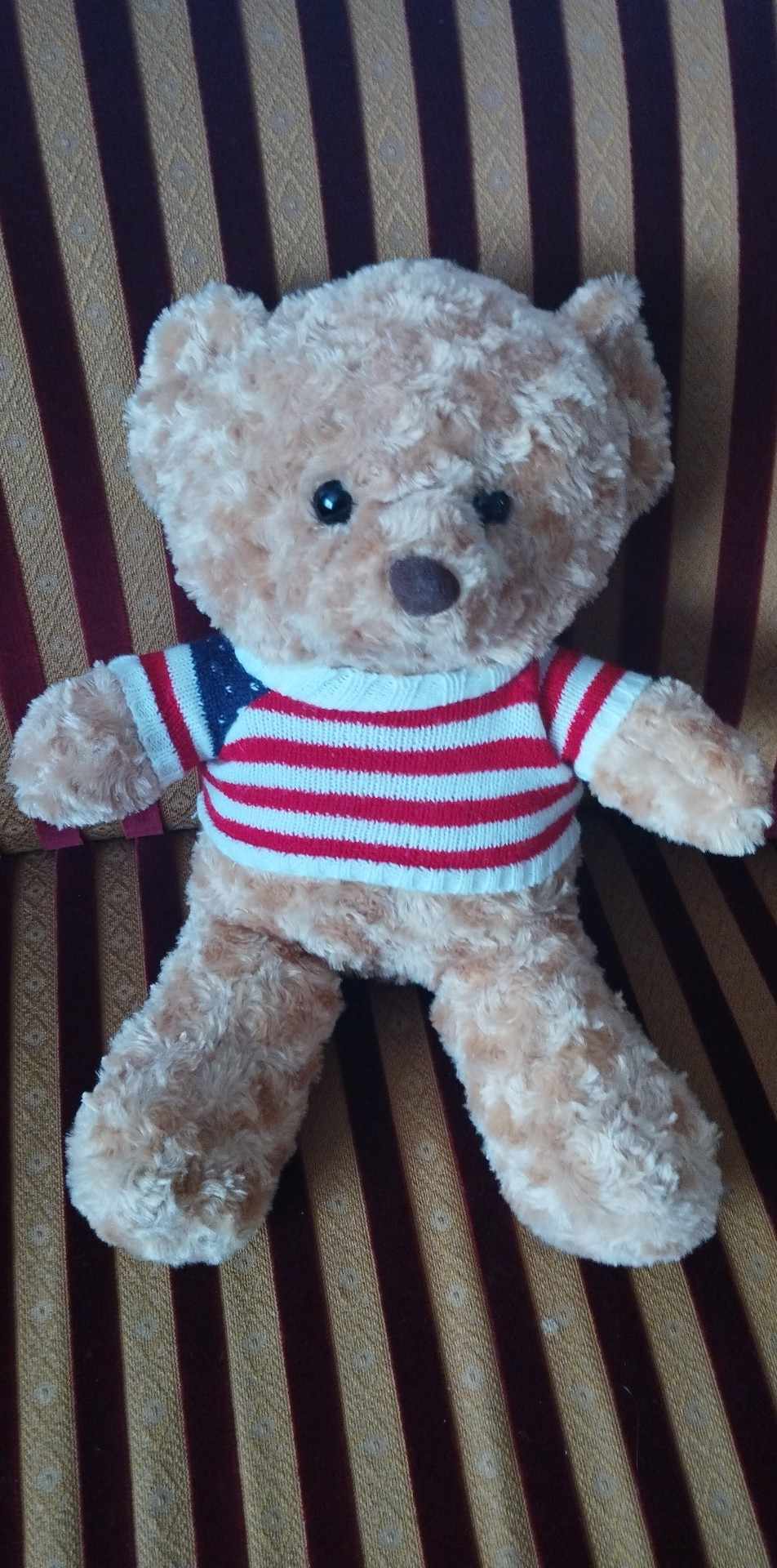 Main photo uploaded by the user