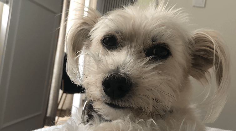 Main photo uploaded by the user