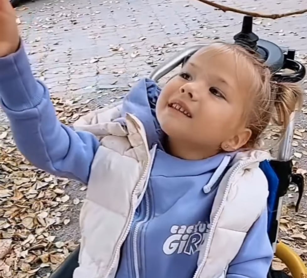 Zdjęcie główne wgrane przez użytkownika