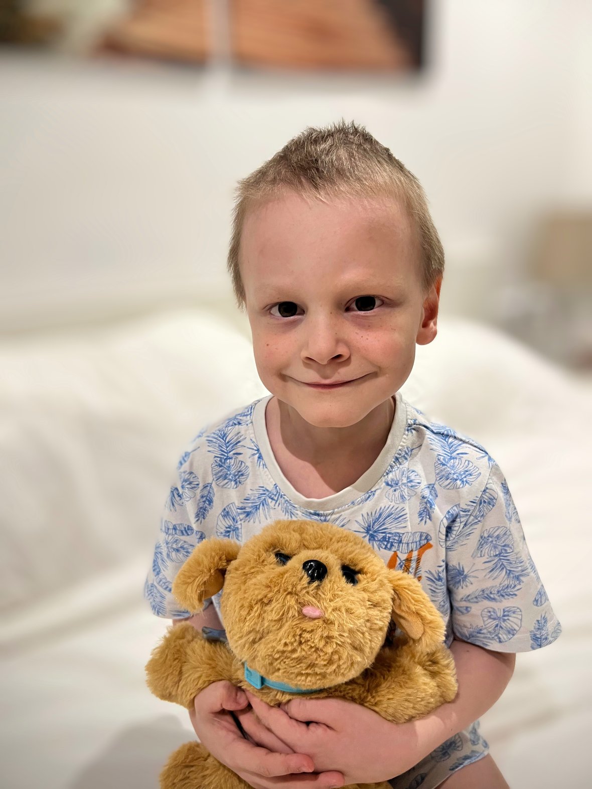 Zdjęcie główne wgrane przez użytkownika