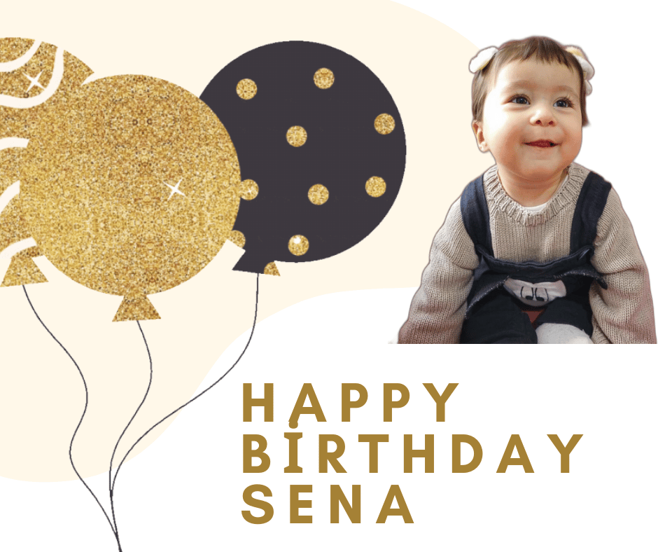 Main photo uploaded by the user