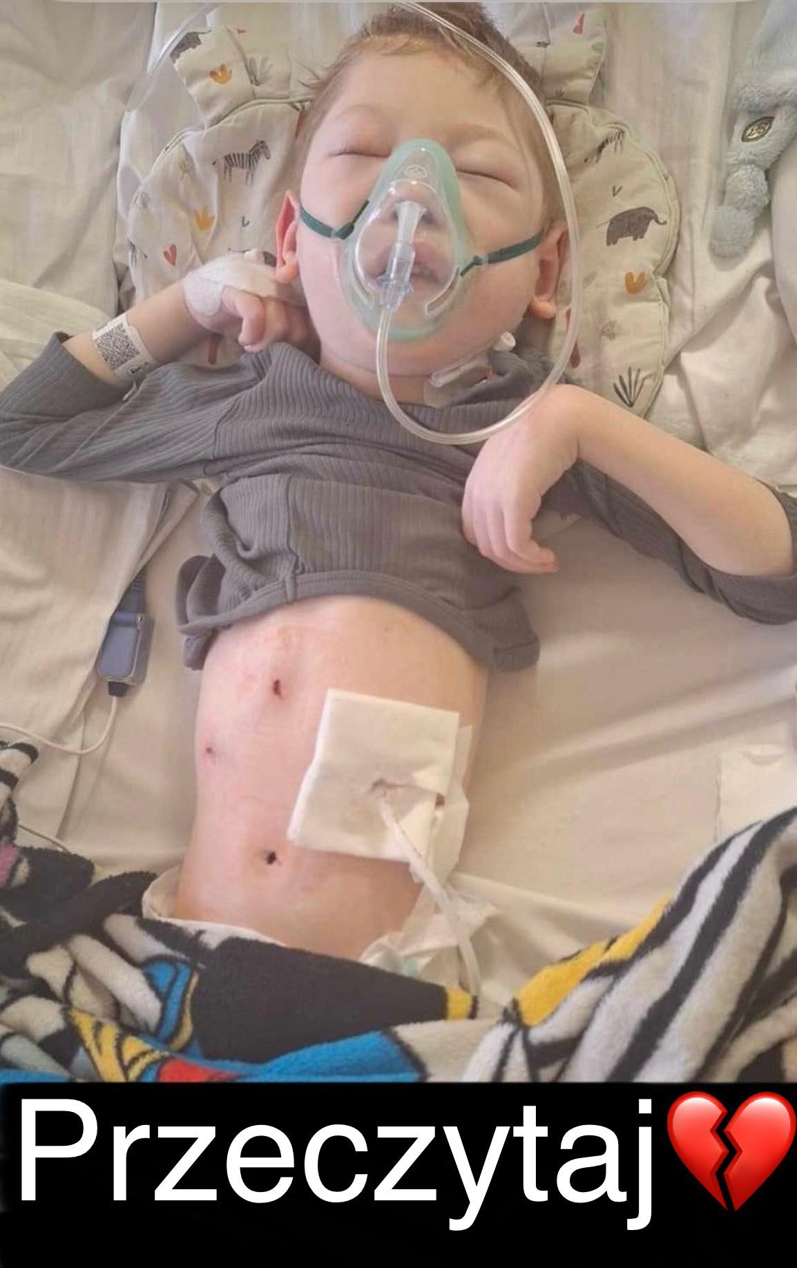 Zdjęcie główne wgrane przez użytkownika