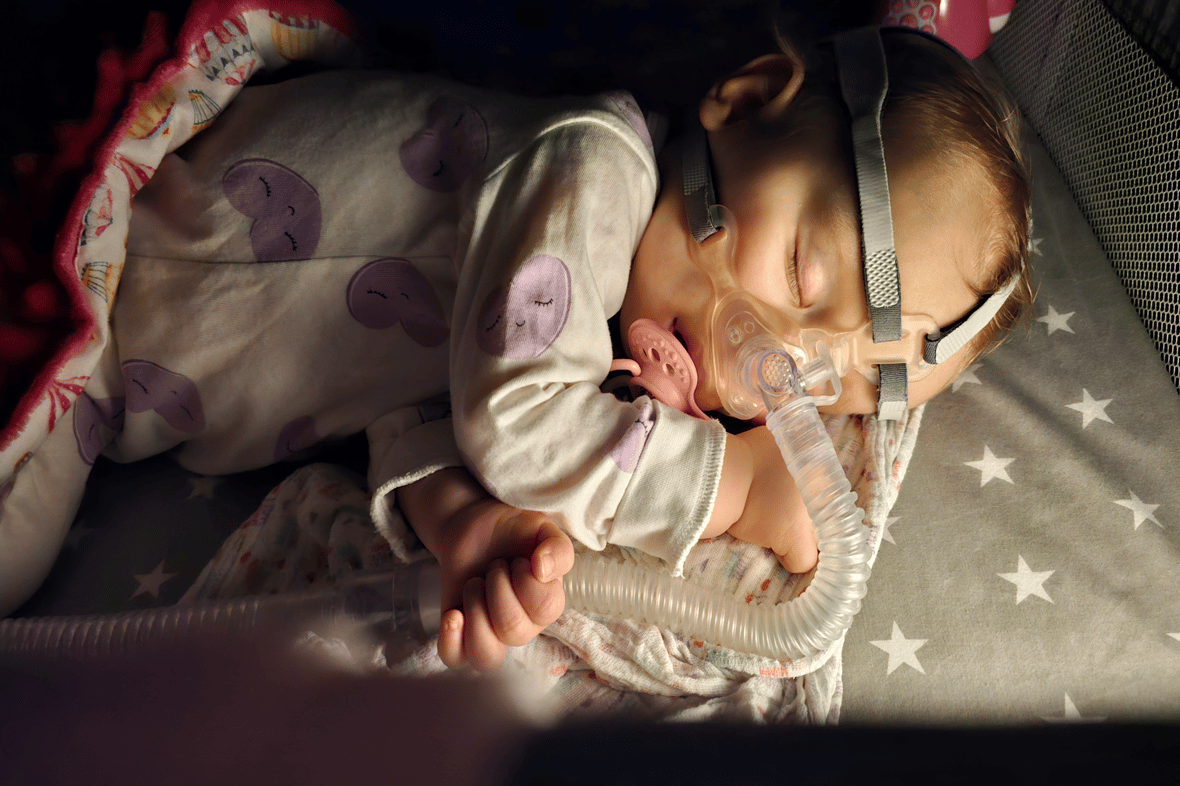 Zdjęcie główne wgrane przez użytkownika