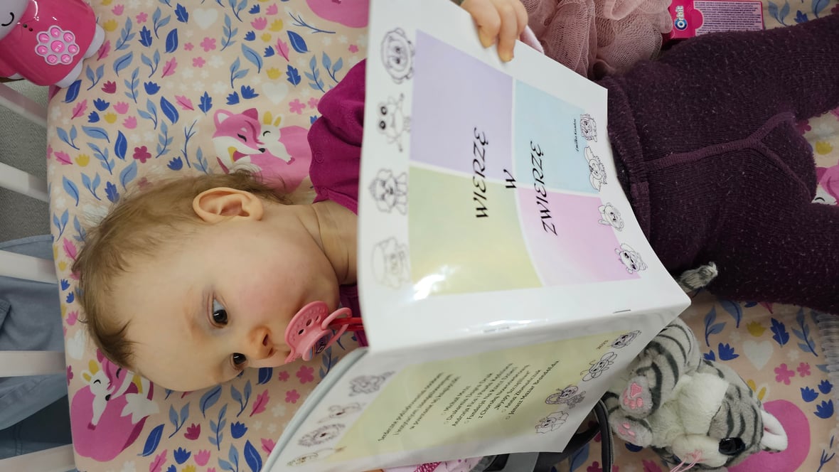 Zdjęcie główne wgrane przez użytkownika