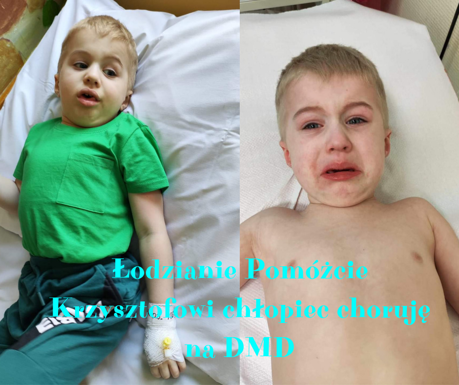 Zdjęcie główne wgrane przez użytkownika