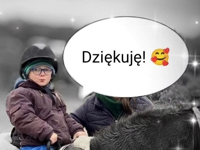 Zdjęcie główne wgrane przez użytkownika