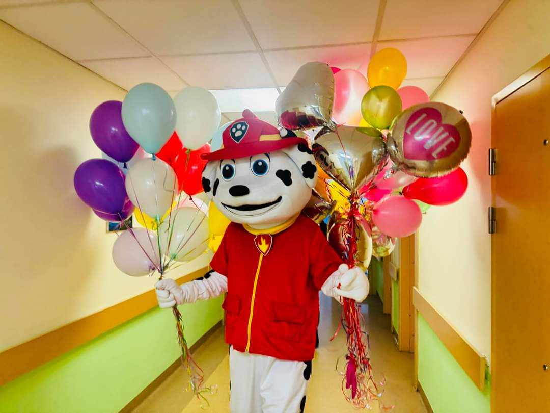 Zdjęcie główne wgrane przez użytkownika