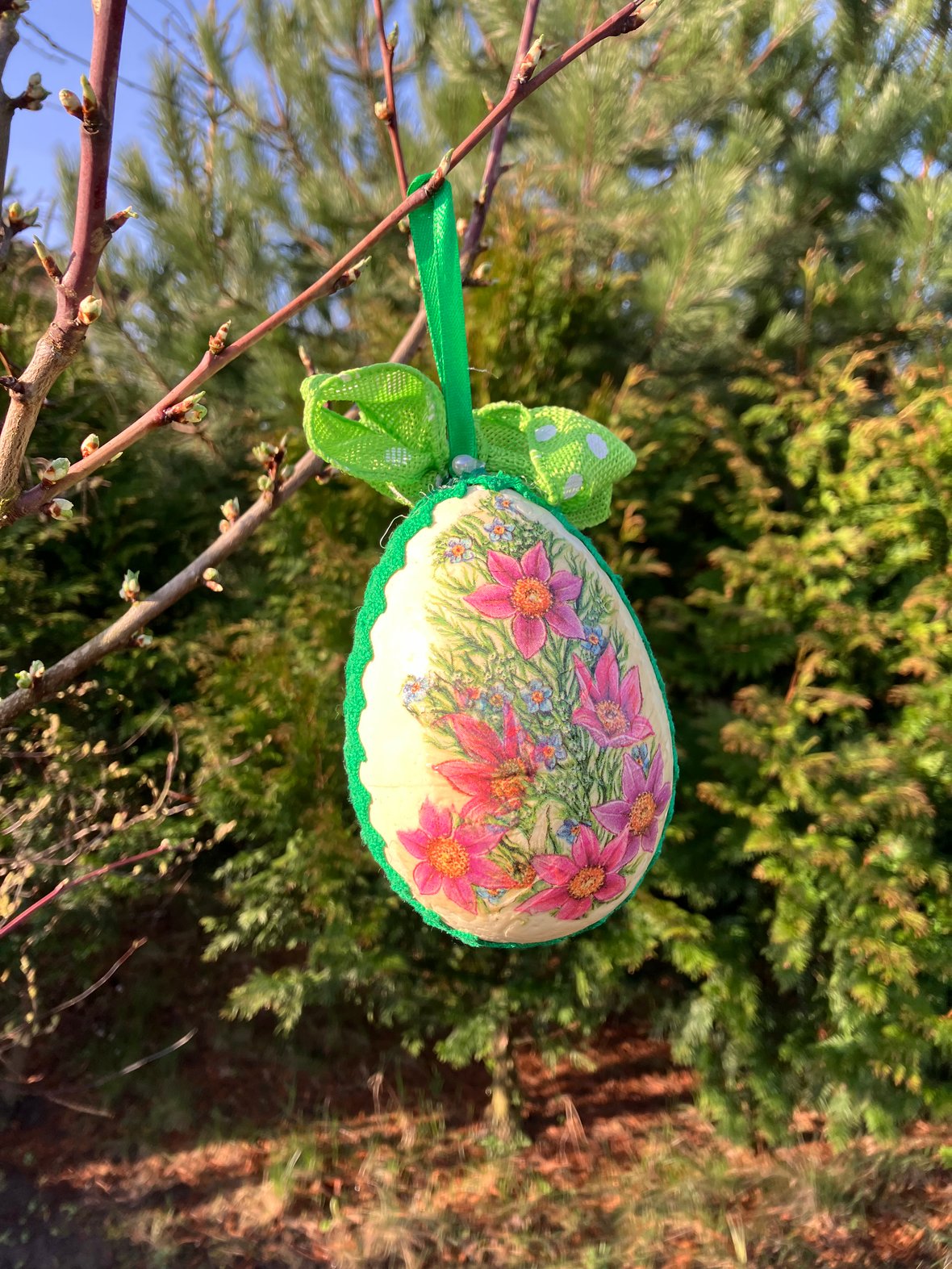 Zdjęcie główne wgrane przez użytkownika