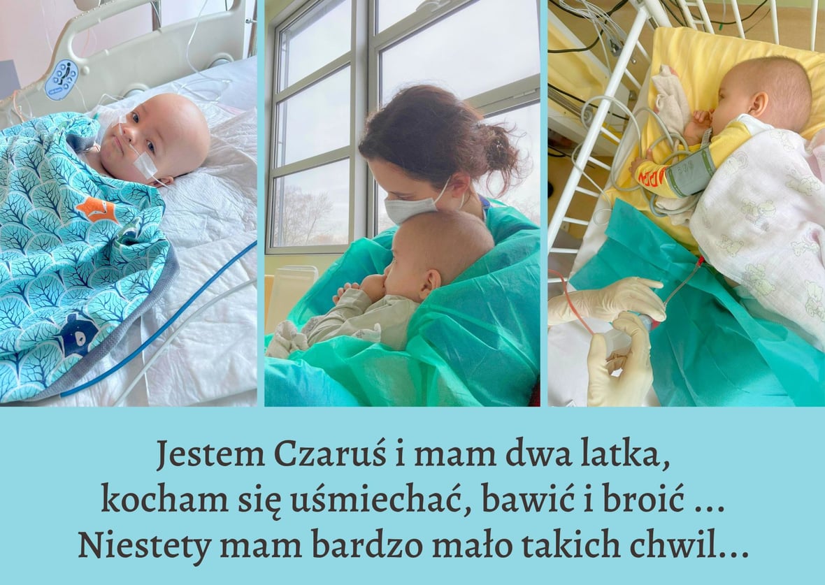 Zdjęcie główne wgrane przez użytkownika