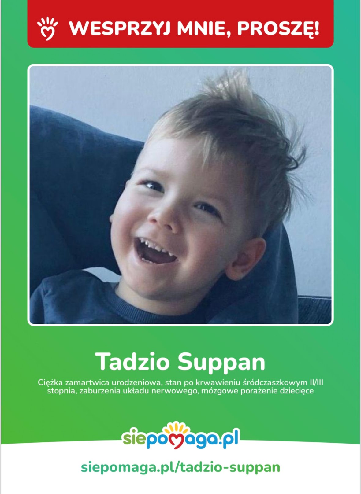 Zdjęcie główne wgrane przez użytkownika