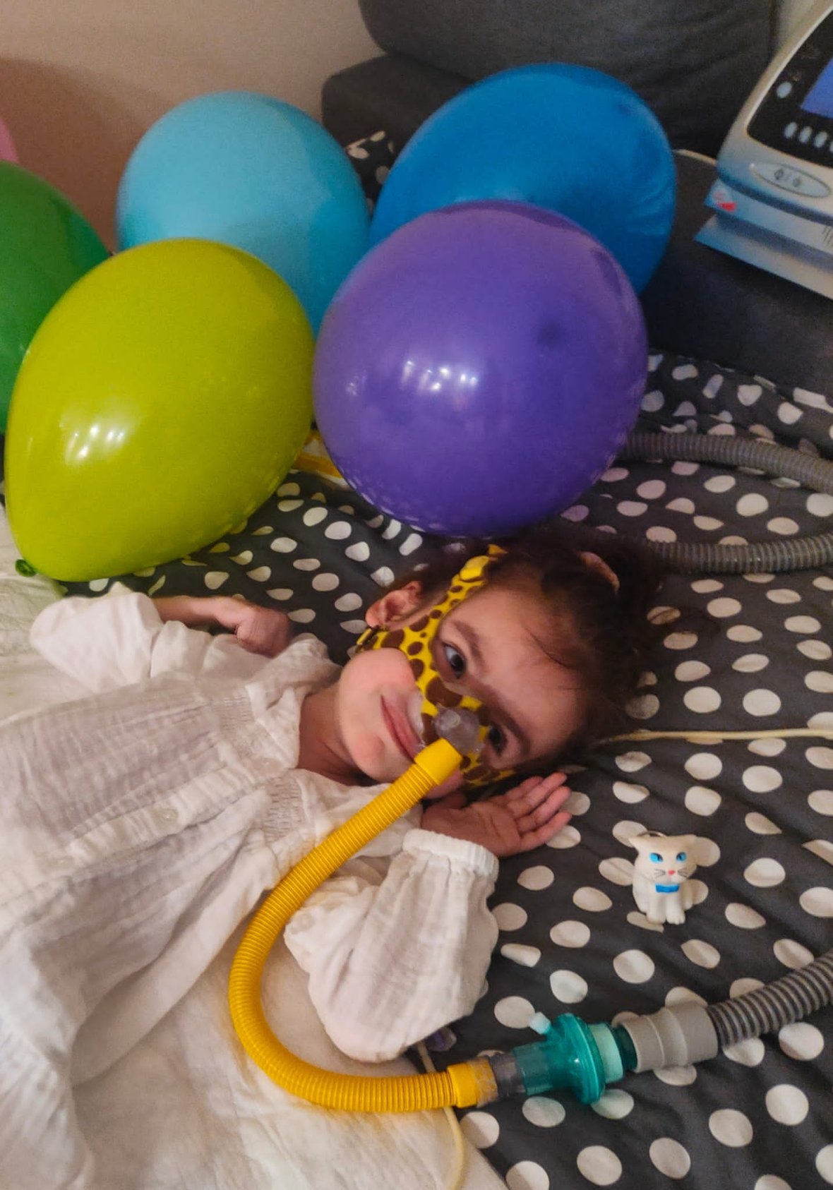 Main photo uploaded by the user