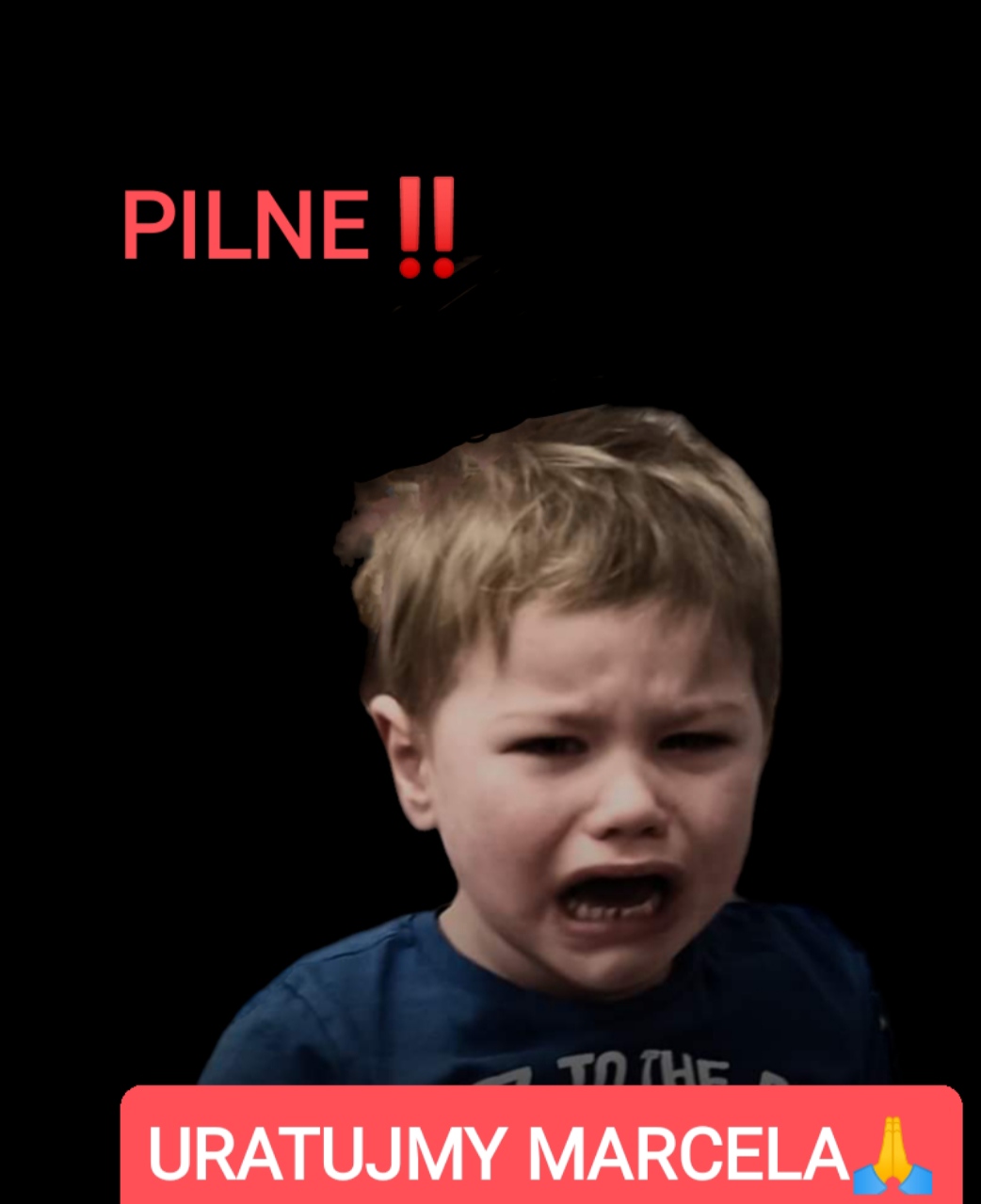 Zdjęcie główne wgrane przez użytkownika