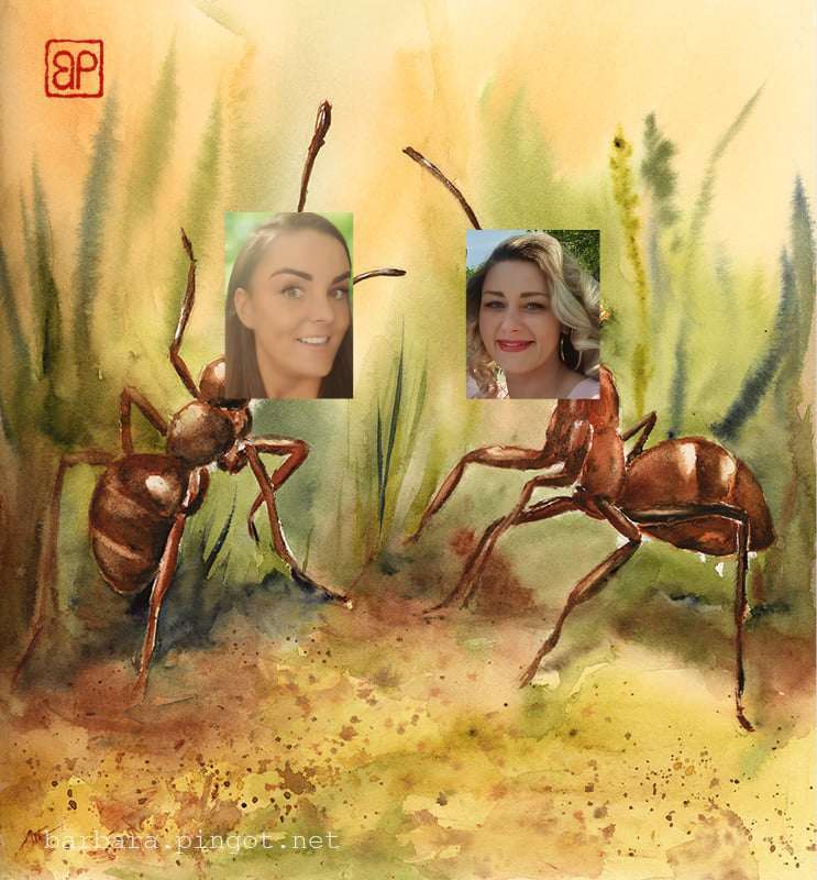 Zdjęcie główne wgrane przez użytkownika