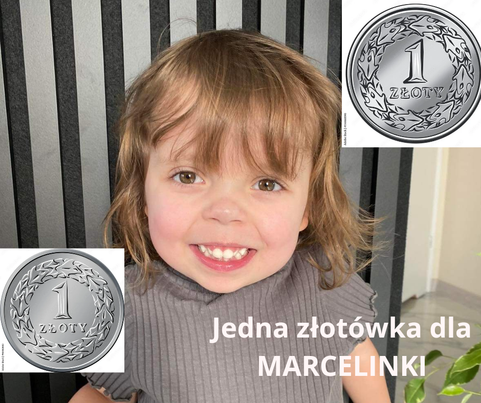 Zdjęcie główne wgrane przez użytkownika