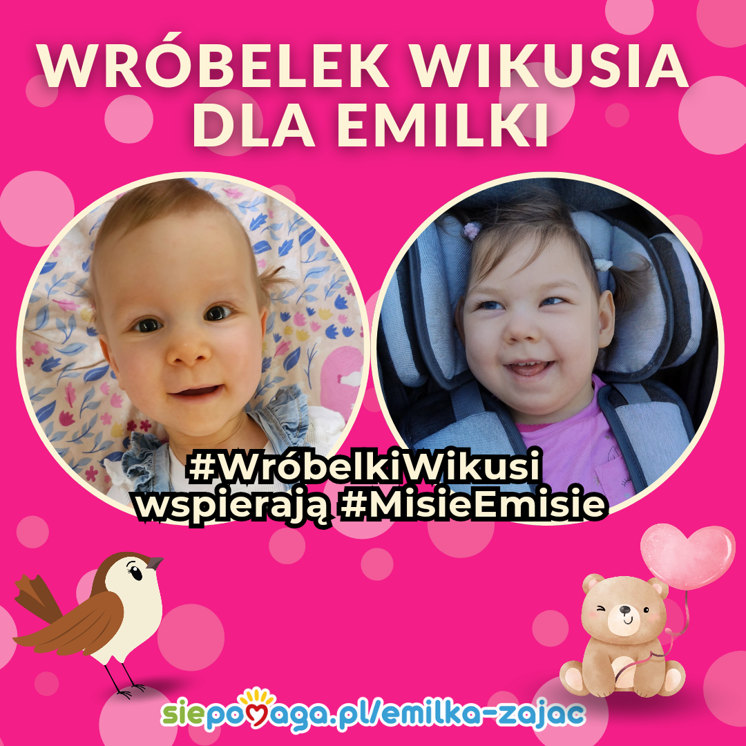 Zdjęcie główne wgrane przez użytkownika