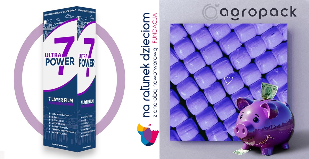 Zdjęcie główne wgrane przez użytkownika